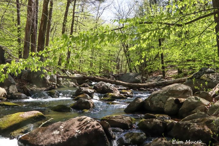 _N0OOOPE's tweet photo. Art of the Day! "Stony Brook". Buy at: https://t.co/puMiCcdape https://t.co/MbISSUhzWO