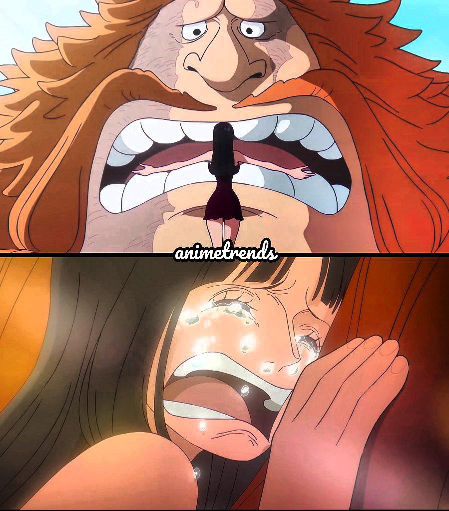 Animetrends tweet media