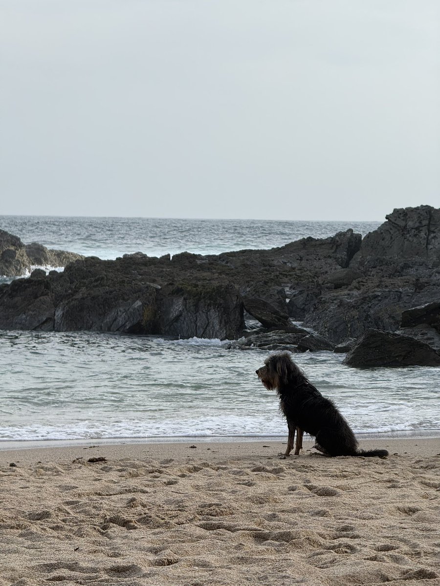 ryderzero's tweet photo. Porto Covo, #portugal https://t.co/wd5128oiP6