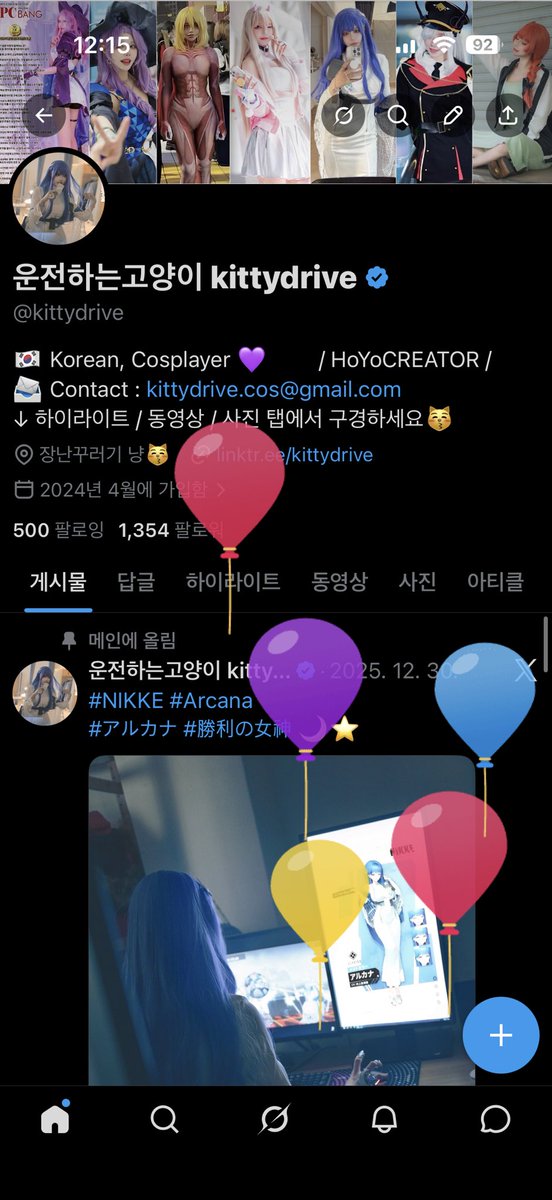 운전하는고양이 kittydrive tweet media