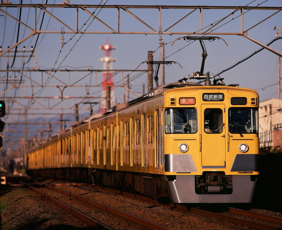 150_600c's tweet photo. #順光って素晴らしい

順光で背景を大きくボカすのが好き https://t.co/thr8q1uQf8