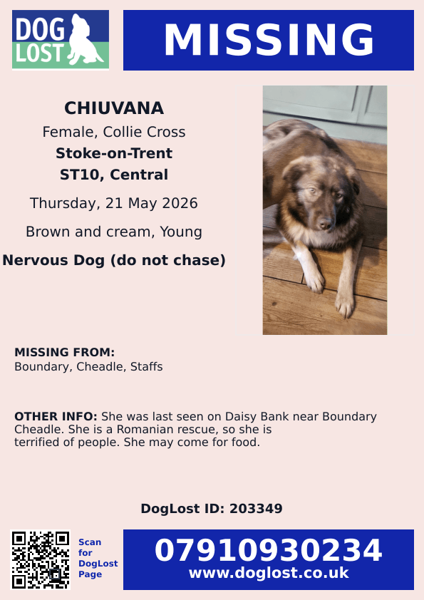 millypod1's tweet photo. 🆘21 MAY 2026 #Lost Chiuvana #ScanMe
Collie Cross Female ROMANIAN RESCUE
Last seen Daisy Bank #Boundary #Cheadle #Staffs #ST10 #StokeOnTrent #StaffordshireMoorlands
She is terrified of people. She may come for food.
https://t.co/xDxShsEAmW https://t.co/hdTi4Bc2nA