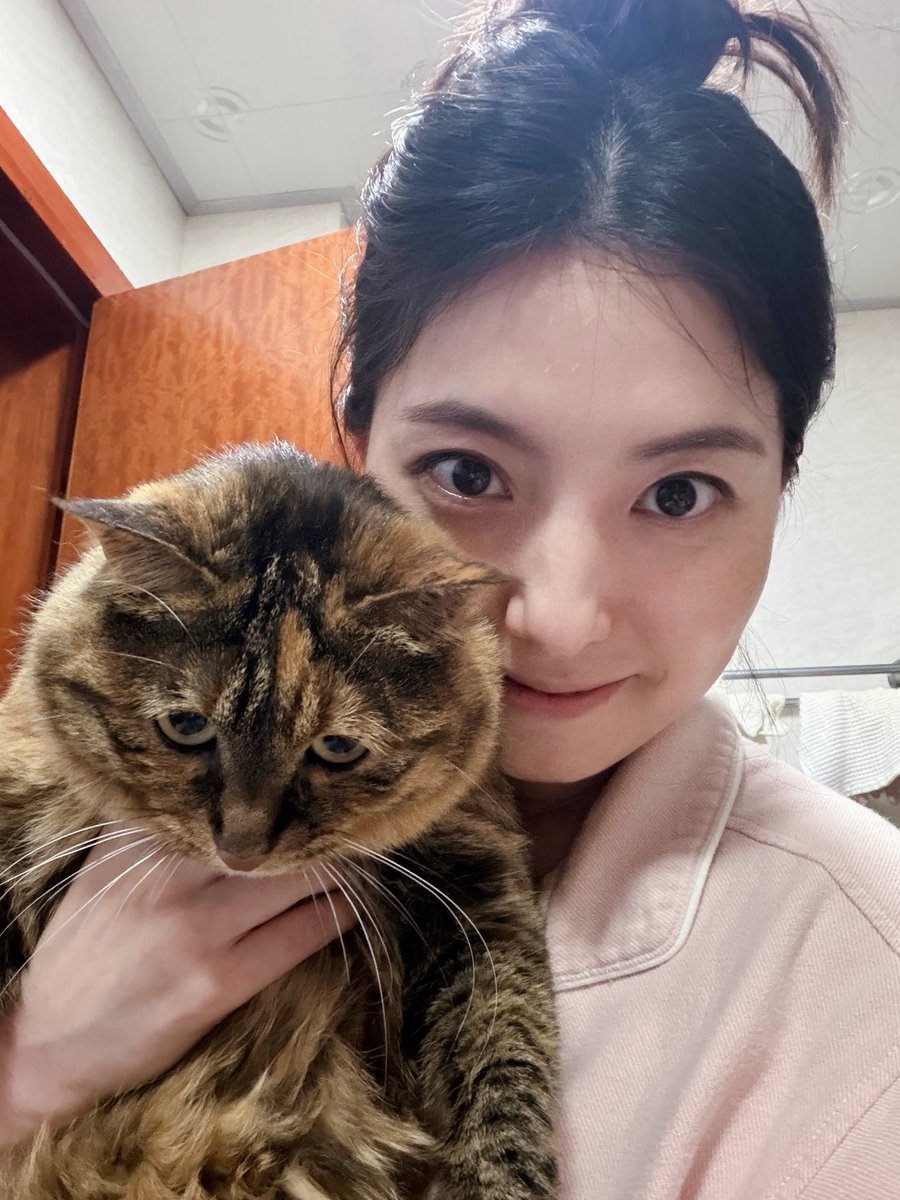 树袋熊也是熊🐨 tweet media