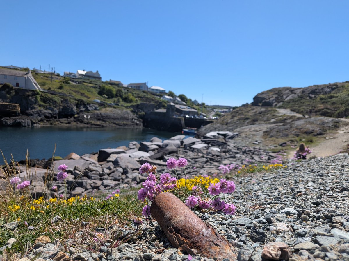 LMilly70's tweet photo. More Anglesey....🌞♥️ https://t.co/cKYc6755as