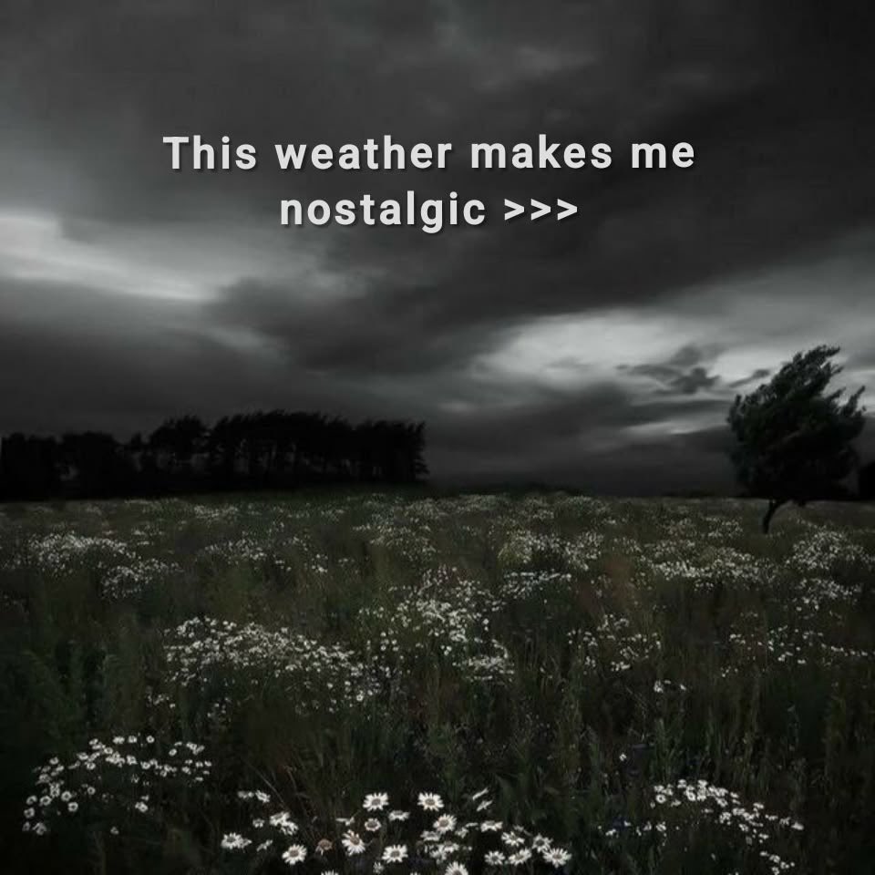 spooky_nature's tweet photo. https://t.co/fo6652VYBm