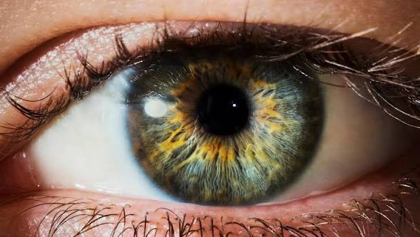 ShiftRLBS's tweet photo. LEAKED:

A photo of @Sadjuni0r's eyes has been dug up from the archives and released! https://t.co/5it6I4FWJh