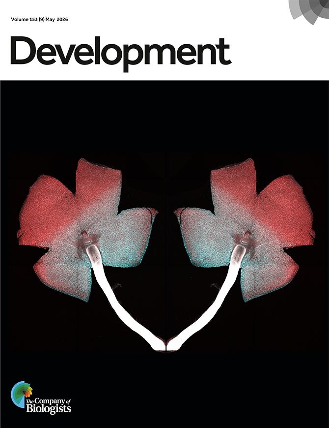 Development tweet media