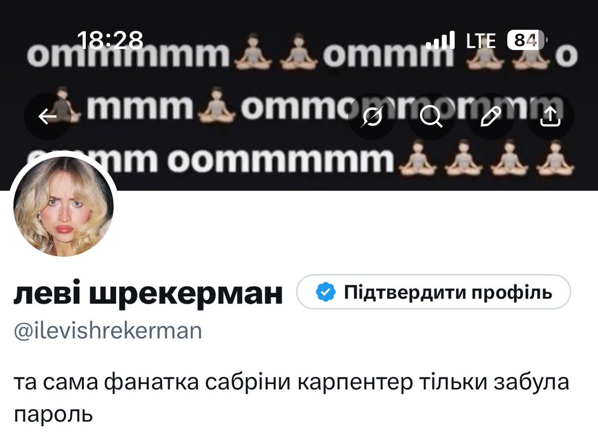 леві шрекерман tweet media