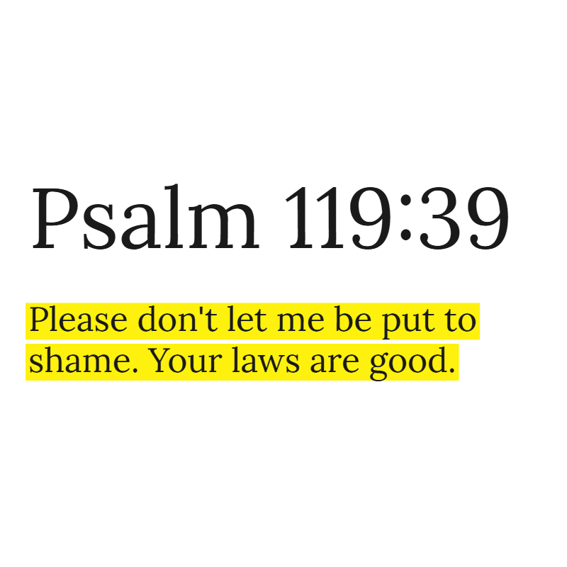 Holy Bible tweet media