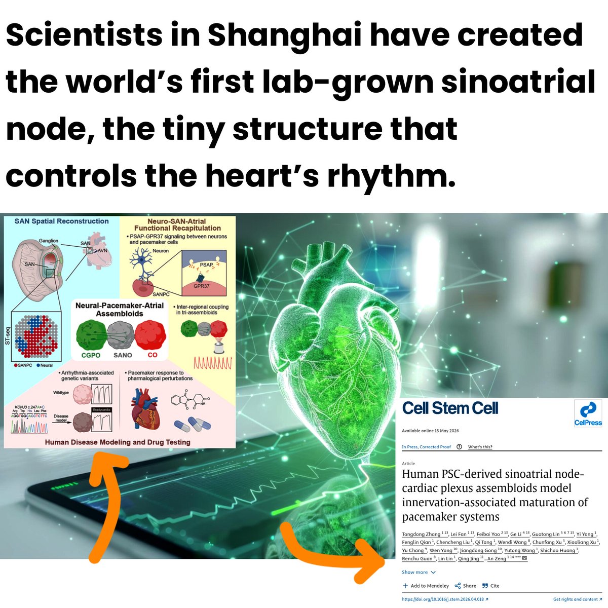 SciTech Era tweet media