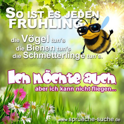 Elke C 🇩🇪 tweet media
