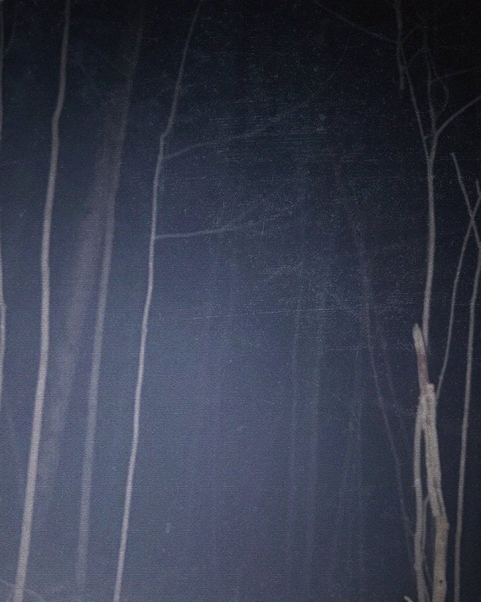 Spookier_Things | GRUDGE FOR DBD tweet media