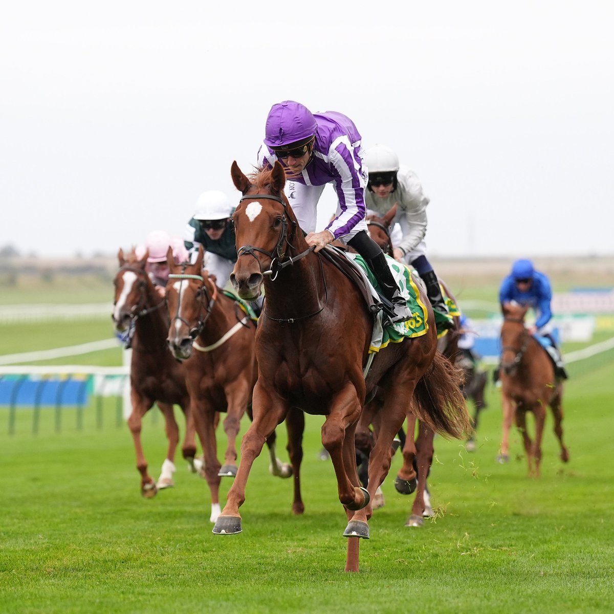 AtTheRaces's tweet photo. PRECISE ROARS HOME TO TAKE THE IRISH 1,000 GUINEAS! 💜 https://t.co/JbKeYARaLB