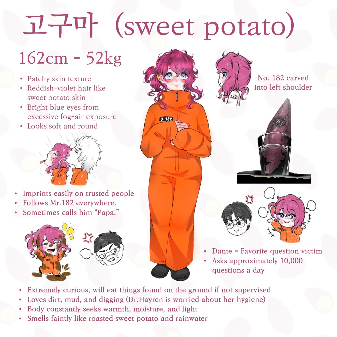 Sweet Potato tweet media