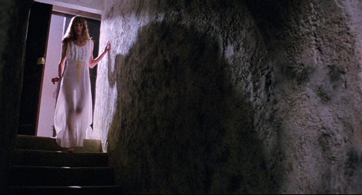 Auteur House tweet media