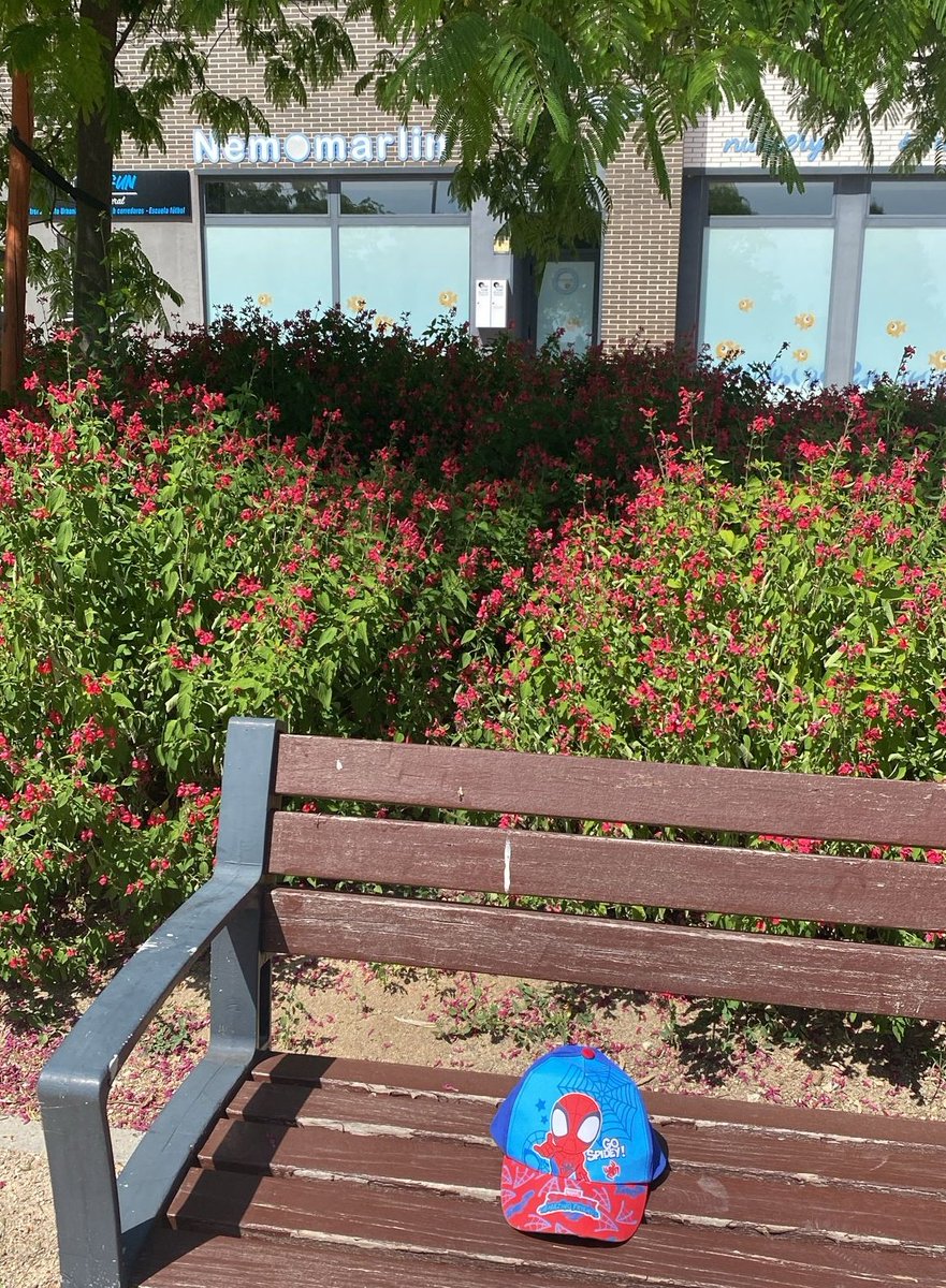 LostInCanaveral's tweet photo. Encontrada gorra

📍Nemomarlin

#ObjetosPerdidos #ElCañaveral https://t.co/UoQSpsHAjV