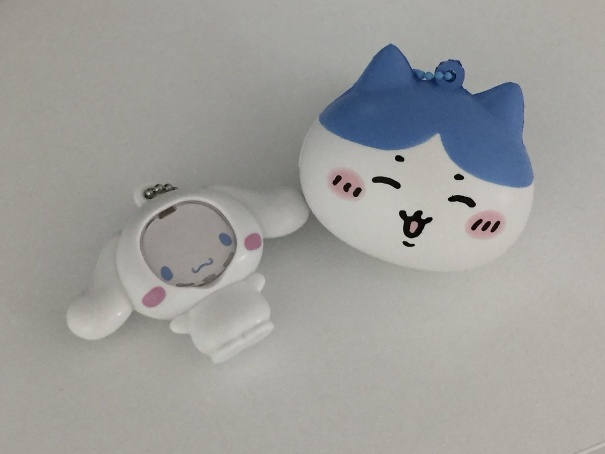 햄 tweet media