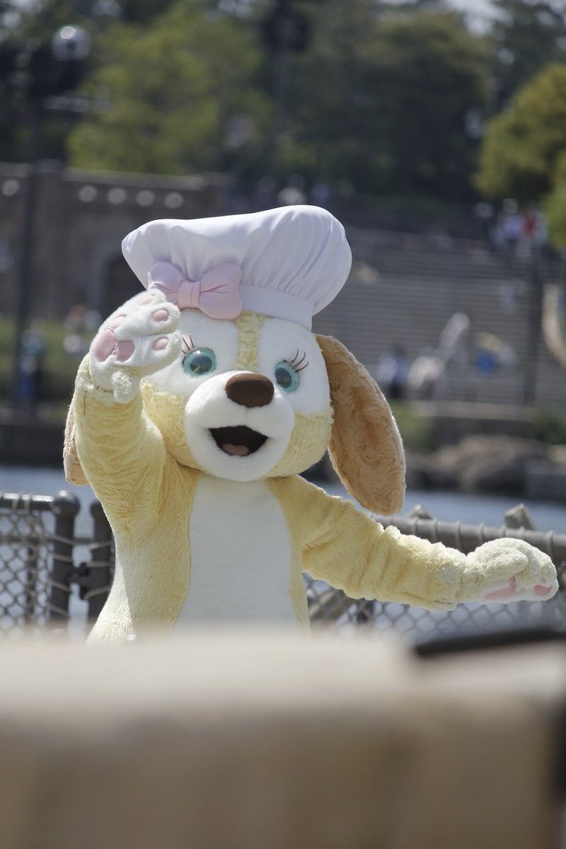 riridsds's tweet photo. くきちゃん🐶🍳 https://t.co/79PiCLQs1s