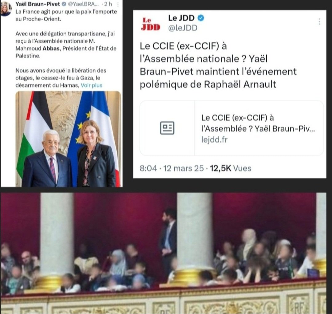 🇨🇵Amandine tweet media