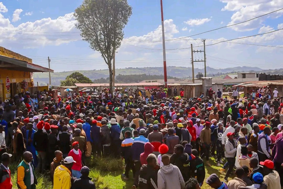 United Democratic Alliance, UDA. tweet media