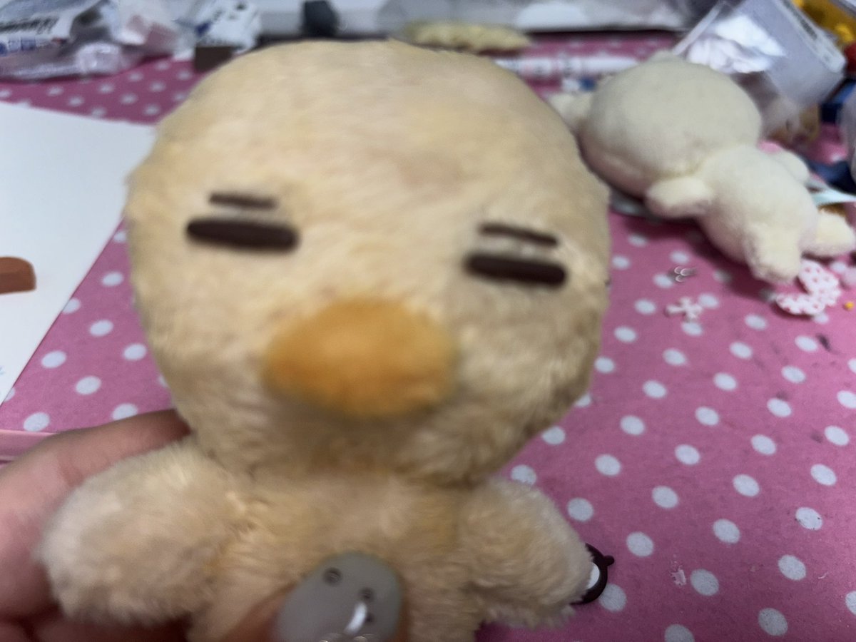 몰랑쀼…ᐡ•̅ ·̫ •̅ᐡ tweet media