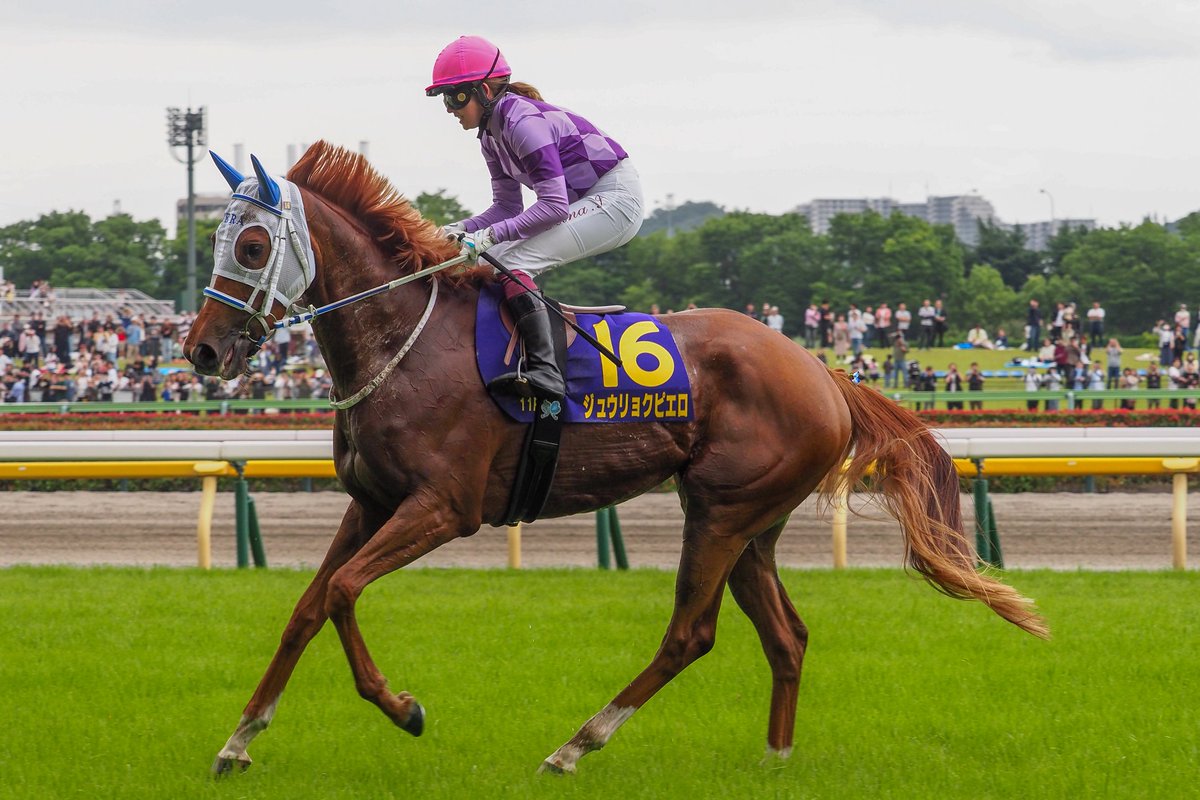 f_ltdexp_race's tweet photo. 2026.5.24
東京11R  第87回オークス(優駿牝馬)(GI)
ジュウリョクピエロ  今村聖奈騎手 https://t.co/4fDED9ee3J