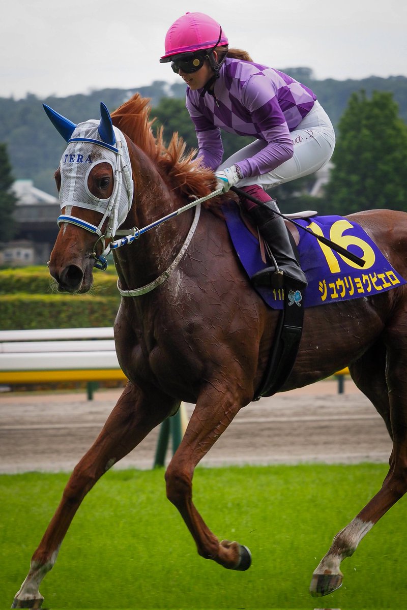 f_ltdexp_race's tweet photo. 2026.5.24
東京11R  第87回オークス(優駿牝馬)(GI)
ジュウリョクピエロ  今村聖奈騎手 https://t.co/4fDED9ee3J