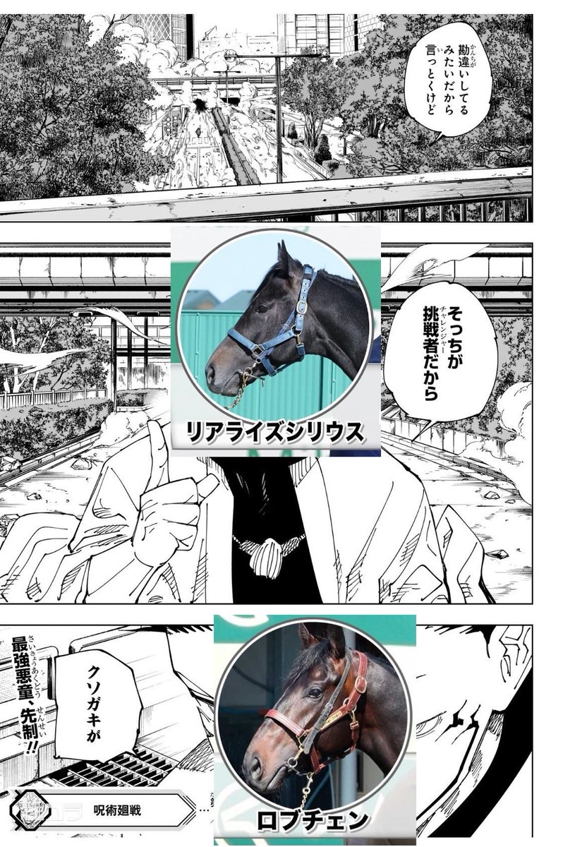 nekomasamune666's tweet photo. 日本ダービー https://t.co/29h9agi6L5