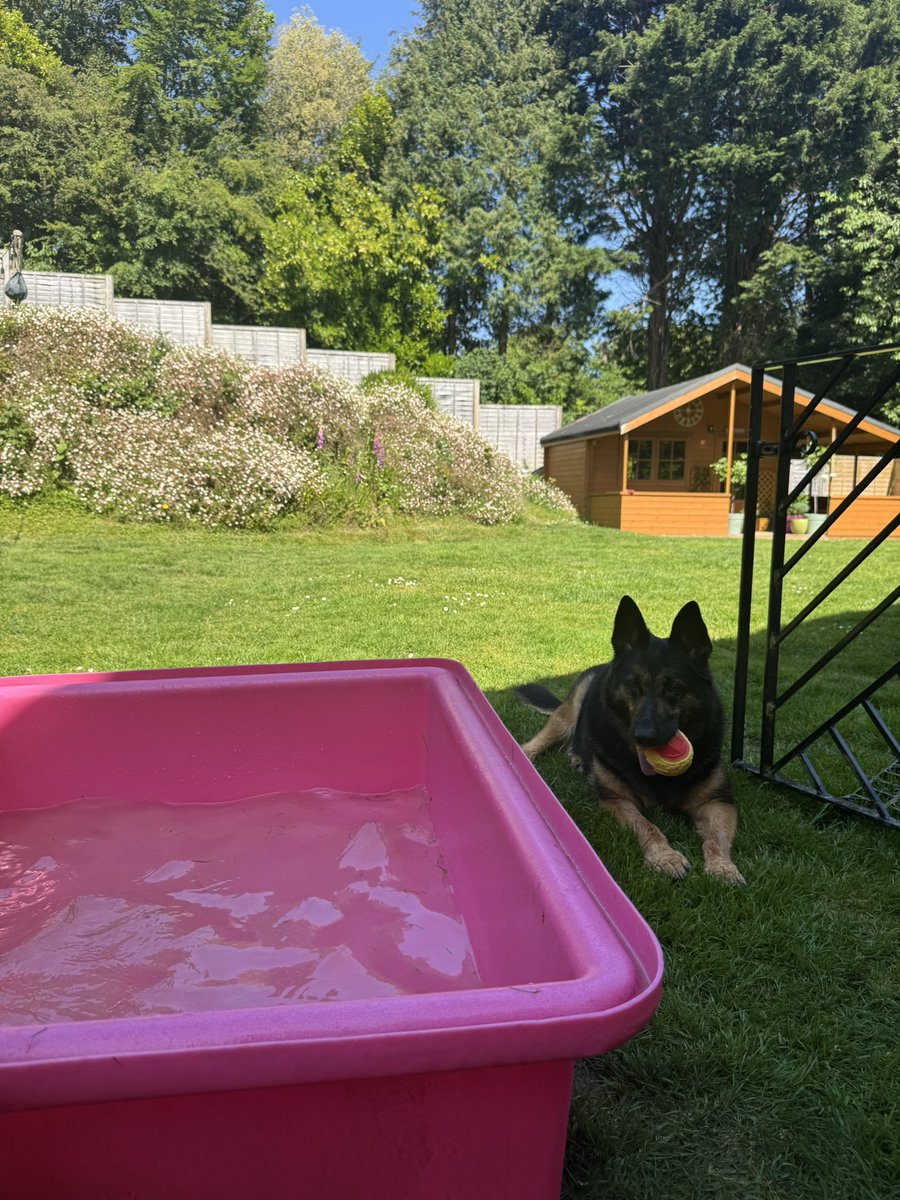 RPD Dixie tweet media