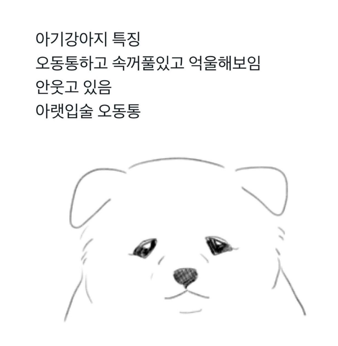 운이 tweet media
