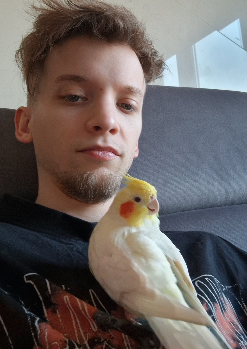 Chucken tweet media