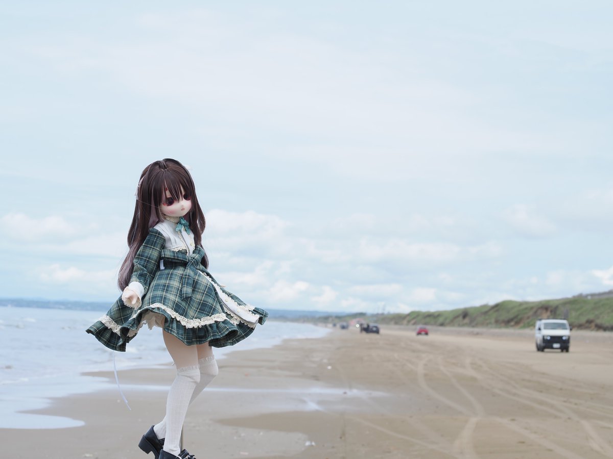 テッド tweet media