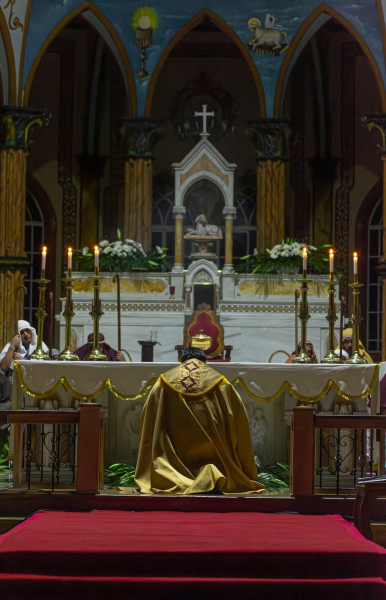 Donald Hidalgo ✝️⛪🇻🇦 tweet media