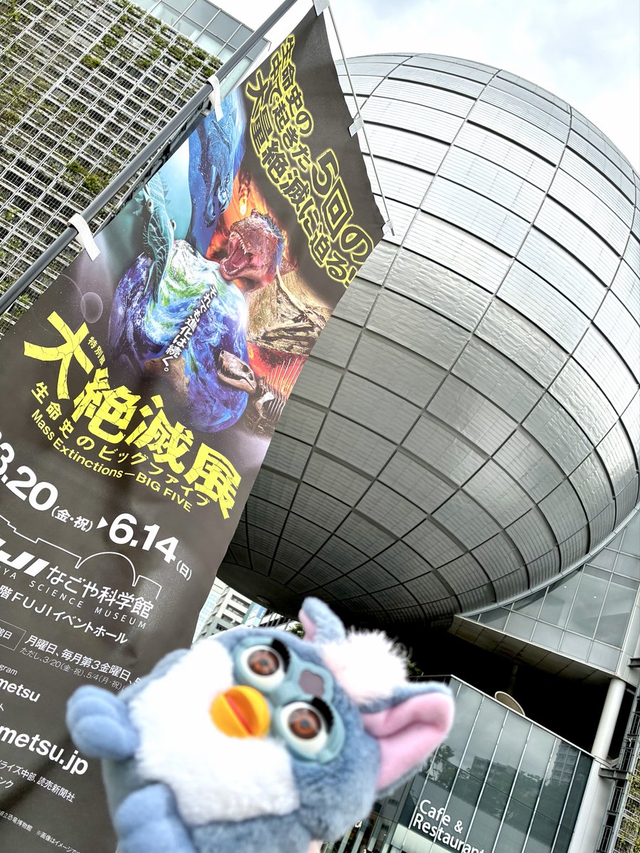 もぐりん tweet media