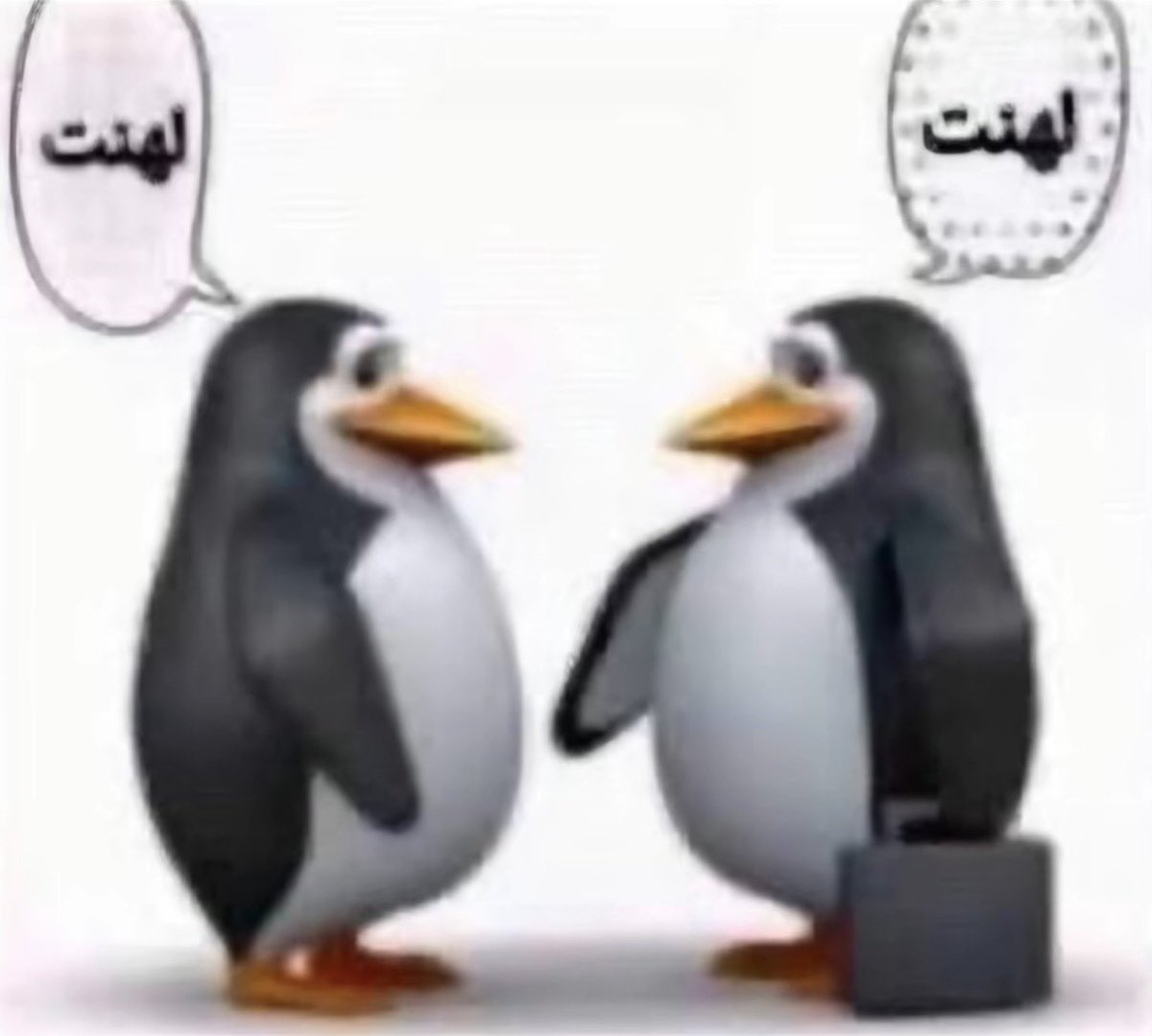 . tweet media