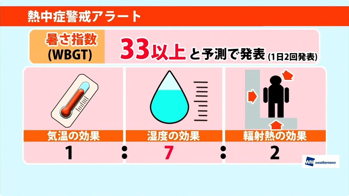 日刊みーちゃんねる Daily Mii Channel tweet media