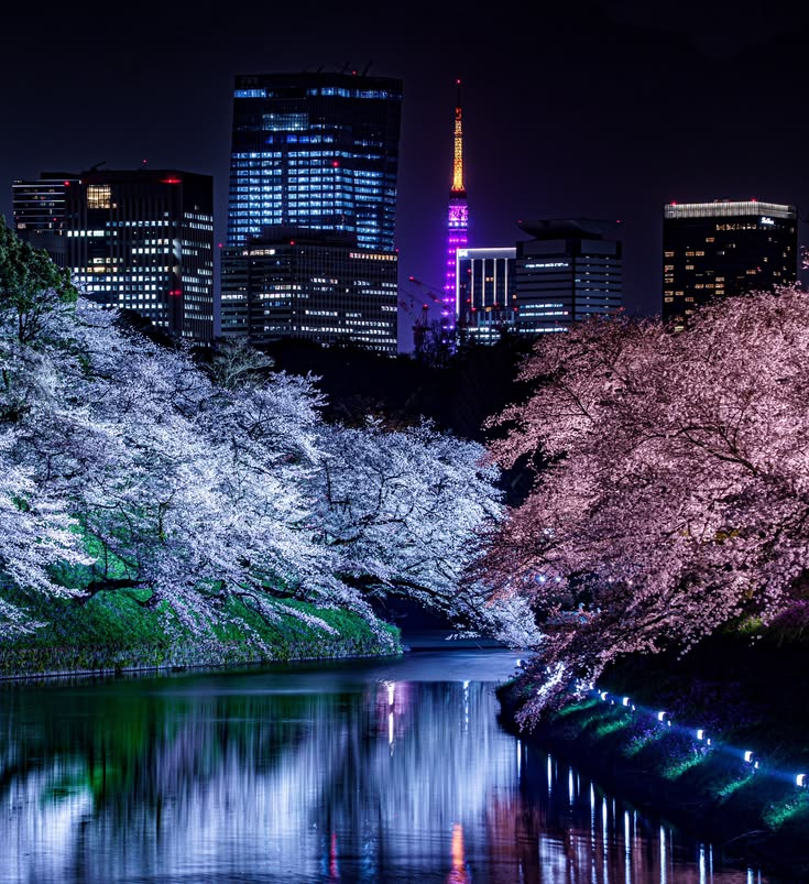 Tokyo Japan 🇯🇵 tweet media