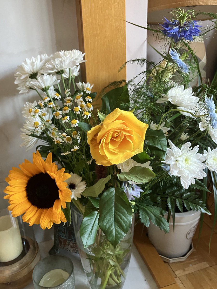SchiltMoppy's tweet photo. Thank you @WorthingUtdFC for always remembering #JS11 #MG1 and for always including us and making us feel loved 🤍🩵🤍🩵 https://t.co/MkkaMetGEu