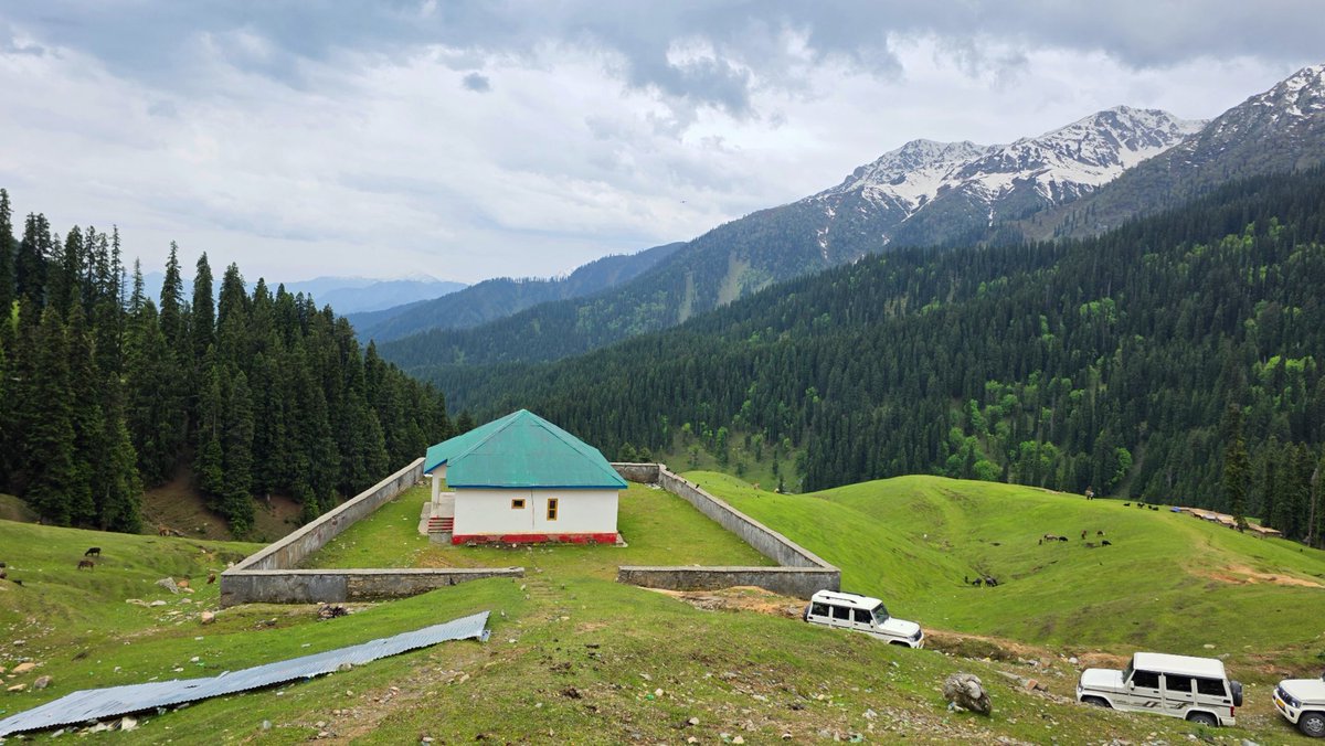 Ashiq__Naik's tweet photo. A journey through Kashmir’s untouched wilderness; pine forests, snow-clad mountains, winding roads, and shepherds guiding their flock to their destinations https://t.co/w76tupZMcq