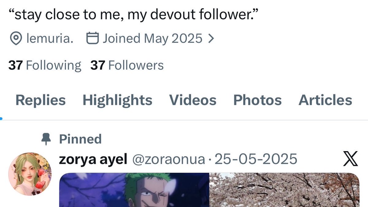 zorya ayel tweet media