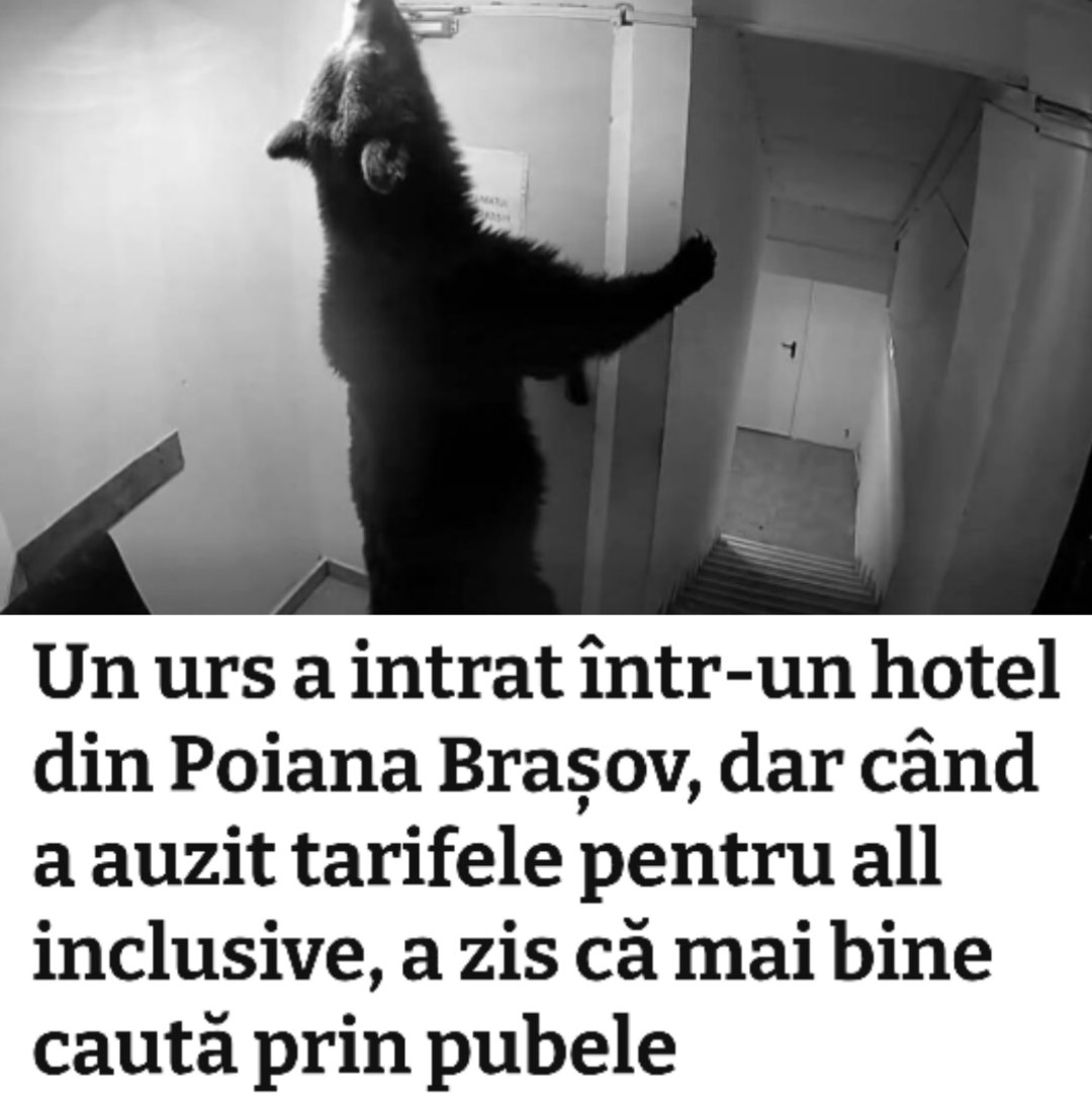 rasboiul.ro tweet media