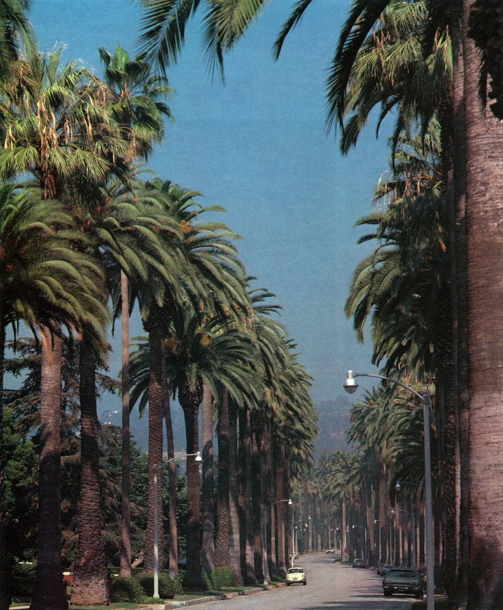 issakhariphoto's tweet photo. A street in Los Angeles, as seen in the AD LA edition of 1982. https://t.co/JW7c0wjNPc
