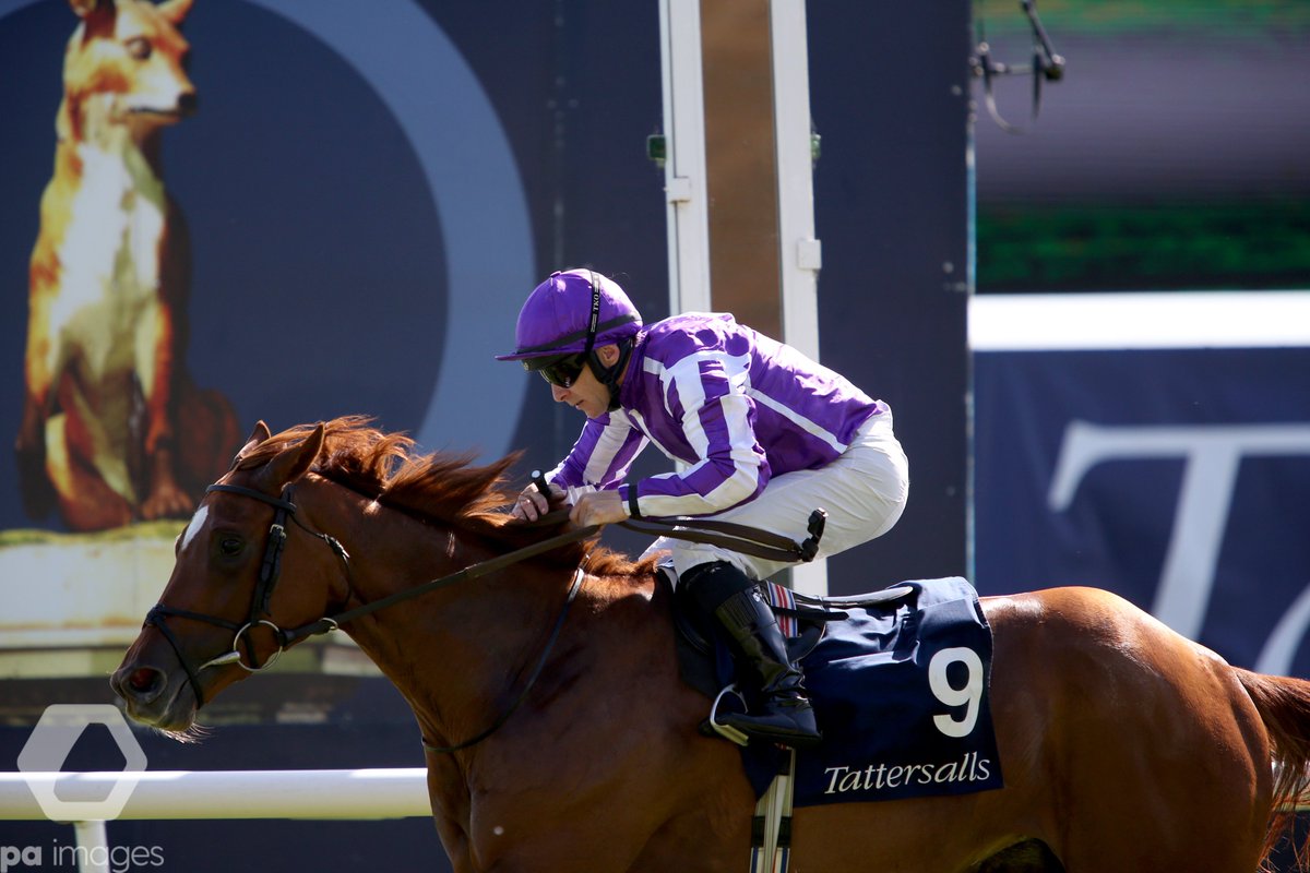 PA Racing tweet media
