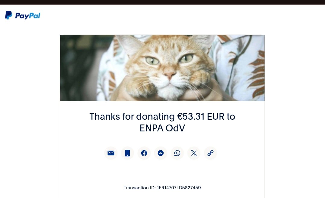 Crazy_FNF's tweet photo. @youarenothype @TheRealCesco777 @swooshdestroyer give up bro, we refunded you, u rejected refund and sent money back

so here is where the money went (because u simply didn't want it)

you fucking broke bitch i give away thousands of dollars each month to people in group and u think i care about ur funny order bro lmao https://t.co/PoFMU13BWp