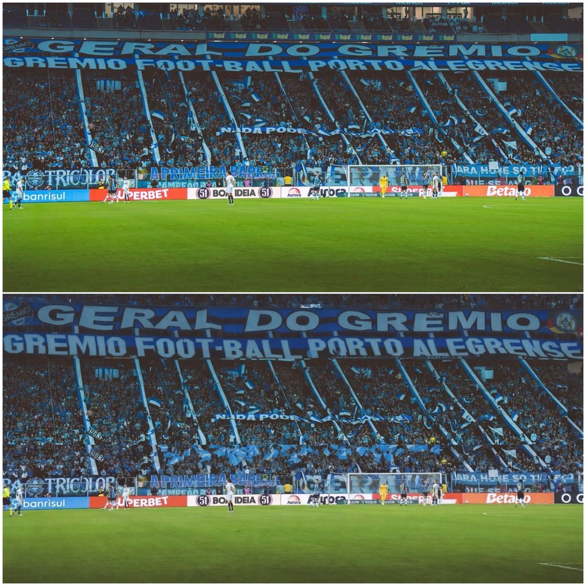 Cigano Tricolor tweet media