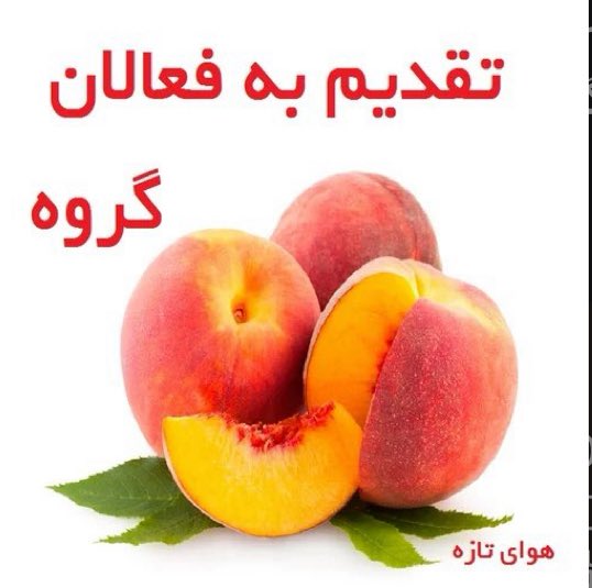 bella cherry tweet media