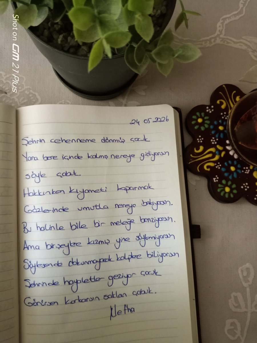 🪻Nefha'nın Kalemi🪻 tweet media