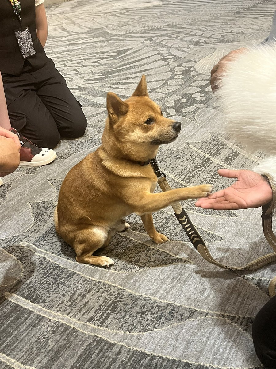 Jack-O Lyntern (YoKai|Sorenissima) @ Combo Breaker tweet media
