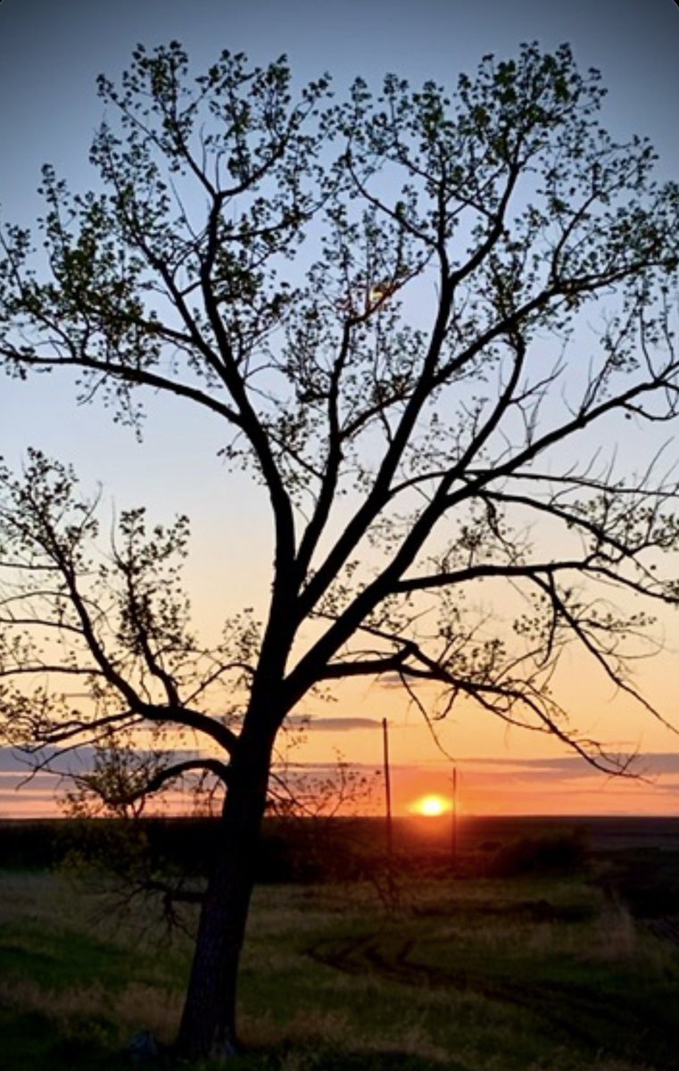 mugwatt's tweet photo. Margy Reid: Ahhhh.... Sundow... I Mean Sunsets...: https://t.co/zoC16KVKMZ Hi! This week’s ramblings are up! Time to pour a cup of something beautiful, take a peek and share! Thanks! https://t.co/erbZZ8EK7O