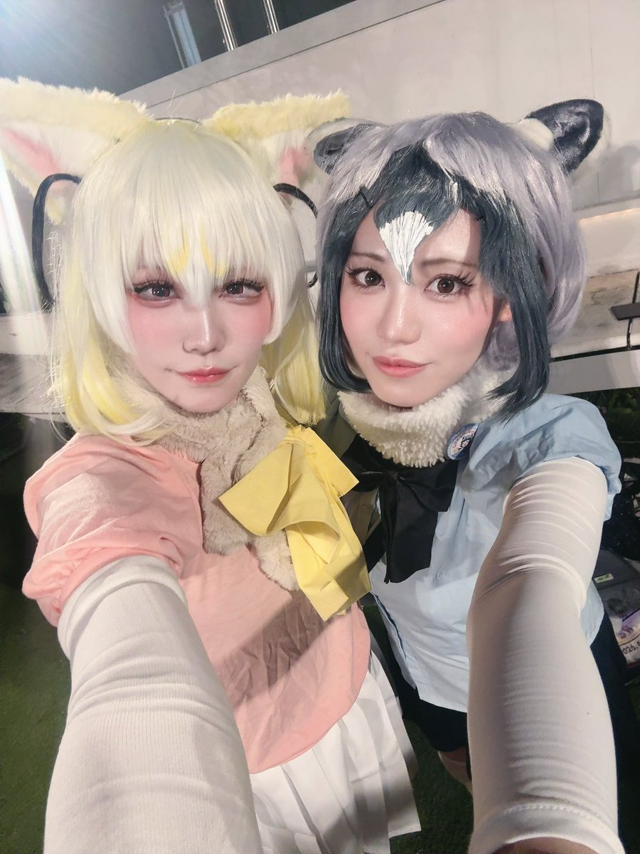 ミーアキャッ tweet media